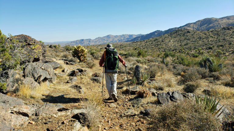 A Joshua Tree National Park Traverse: Trekking a Multi-Day Loop around ...